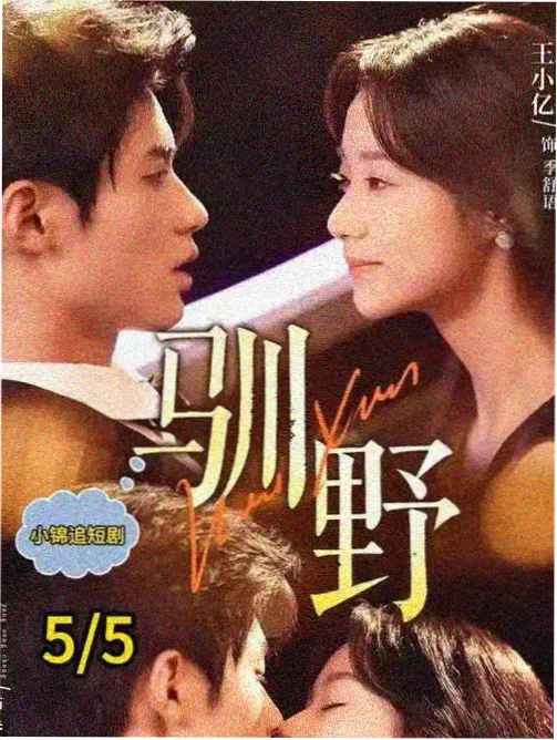 医生完整版 乡村全科医生 剧集海报